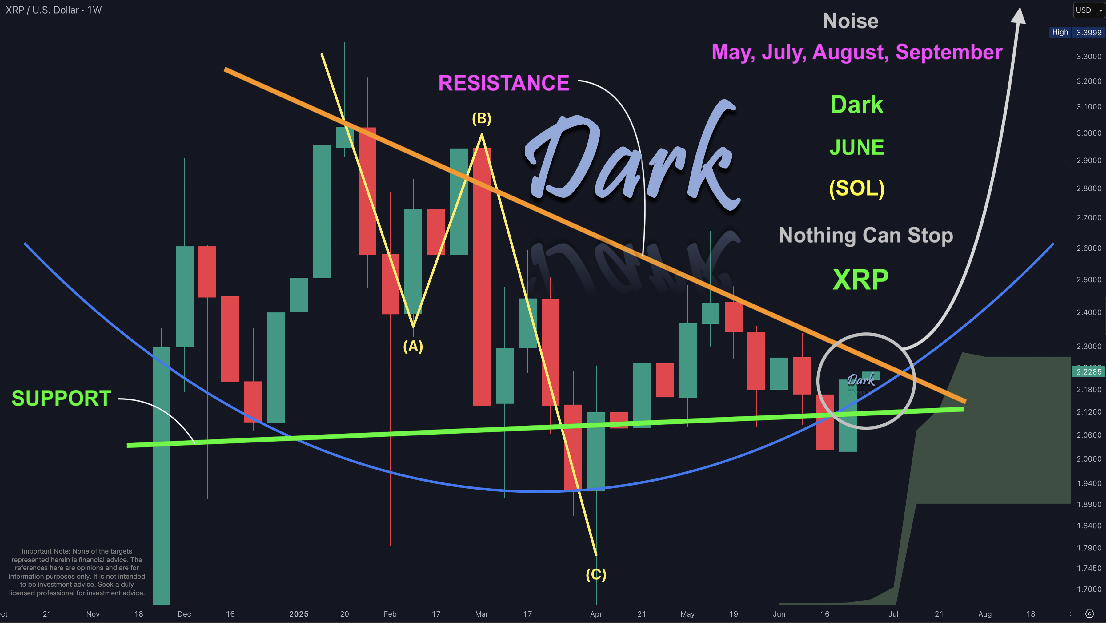 XRP 2025-06-30